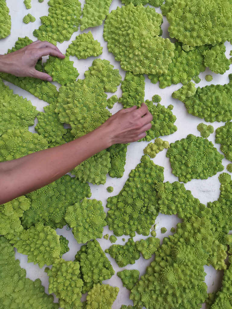 Geografia vegetale, Caterina Sbrana 2021