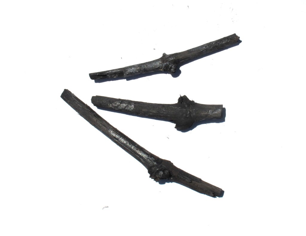 Black wine hanproducted by Caterina Sbrana in 2015